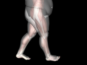 Is Being Overweight Detrimental to the Health of the Feet?